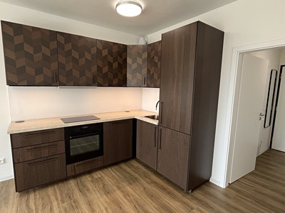 Pronájem bytu 1+kk 31 m²