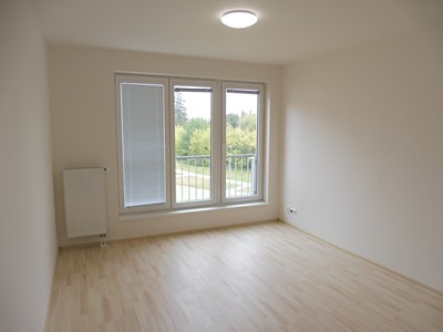 Pronájem bytu 1+kk 30 m²