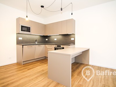 Pronájem bytu 2+kk 61 m² (Jednopodlažní)