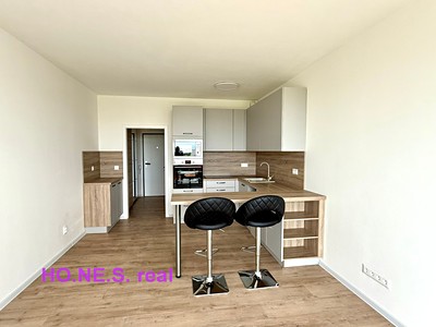 Pronájem bytu 1+kk 32 m² (Jednopodlažní)