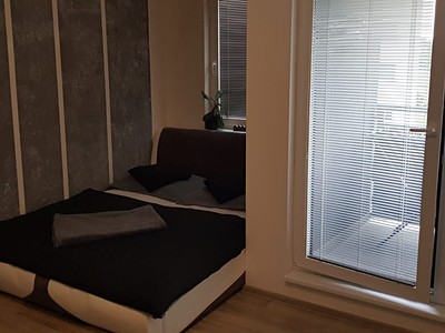 Pronájem bytu 1+kk 35 m² (Jednopodlažní)