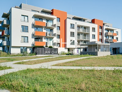 Pronájem bytu 1+kk 25 m² (Jednopodlažní)