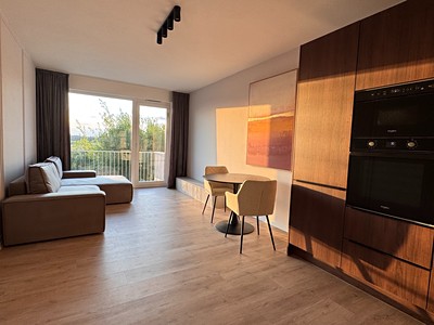 Pronájem bytu 2+kk 57 m² (Jednopodlažní)