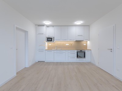 Pronájem bytu 2+kk 55 m²