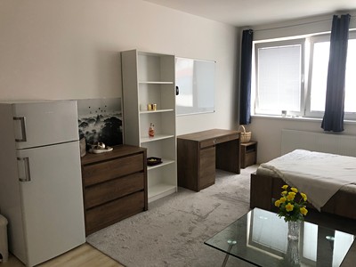 Pronájem bytu 1+kk 30 m²