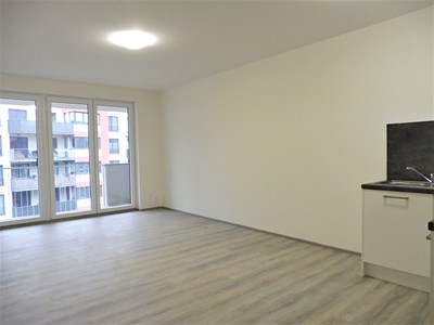 Pronájem bytu 1+kk 36 m²