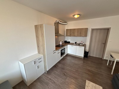 Pronájem bytu 1+kk 34 m²