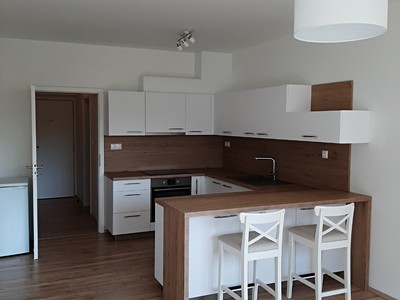Prodej bytu 1+kk 33 m² (Jednopodlažní)