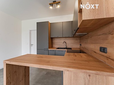 Pronájem bytu 1+kk 28 m² (Jednopodlažní)