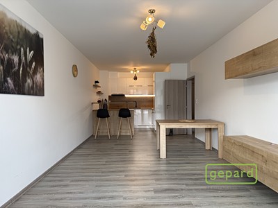 Pronájem bytu 2+kk 68 m² (Jednopodlažní)