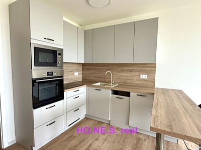 Pronájem bytu 1+kk 32 m² (Jednopodlažní)