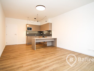 Pronájem bytu 2+kk 61 m² (Jednopodlažní)