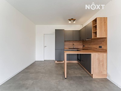 Pronájem bytu 1+kk 28 m² (Jednopodlažní)