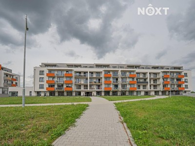Pronájem bytu 1+kk 28 m² (Jednopodlažní)