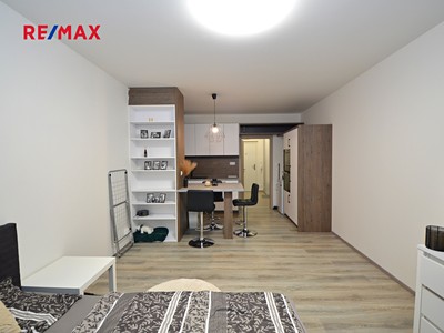 Pronájem bytu 1+kk 33 m² (Jednopodlažní)