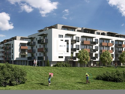 Pronájem bytu 1+kk 25 m²