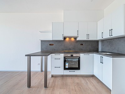 Pronájem bytu 1+kk 35 m²