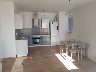Pronájem bytu 2+kk 55 m² (Jednopodlažní)