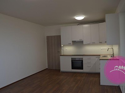Pronájem bytu 1+kk 36 m²