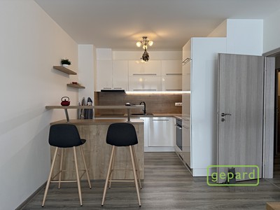 Pronájem bytu 2+kk 68 m² (Jednopodlažní)