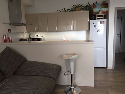 Pronájem bytu 1+kk 36 m² (Jednopodlažní)