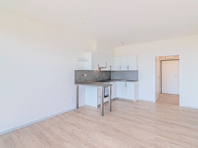Pronájem bytu 1+kk 35 m²