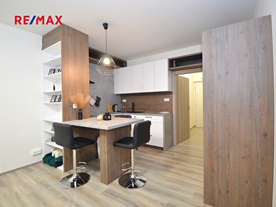 Pronájem bytu 1+kk 33 m² (Jednopodlažní)