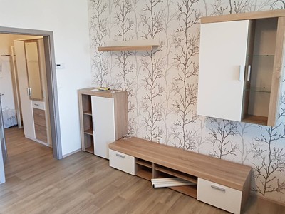 Pronájem bytu 1+kk 36 m² (Jednopodlažní)