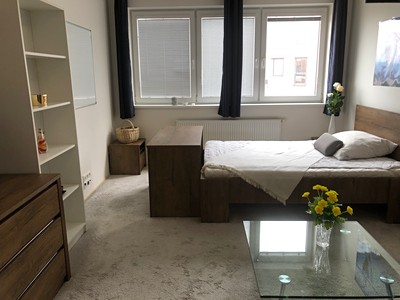 Pronájem bytu 1+kk 30 m²