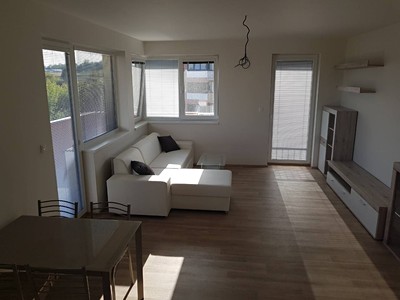 Pronájem bytu 2+kk 55 m² (Jednopodlažní)