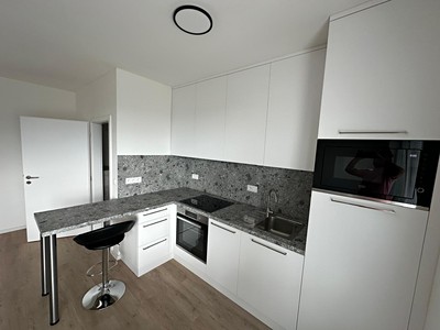 Pronájem bytu 2+kk 47 m²