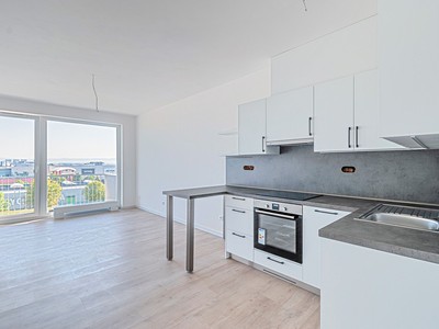 Pronájem bytu 1+kk 35 m²