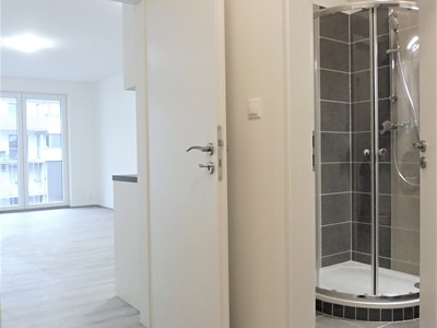 Pronájem bytu 1+kk 36 m²