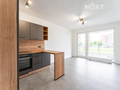 Pronájem bytu 1+kk 28 m² (Jednopodlažní)