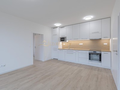 Pronájem bytu 2+kk 55 m²