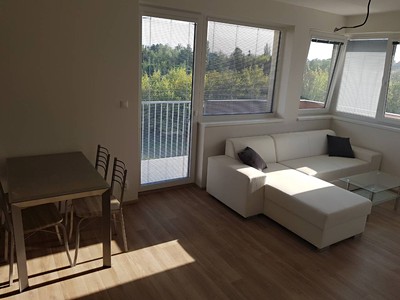 Pronájem bytu 2+kk 55 m² (Jednopodlažní)
