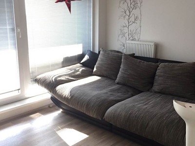 Pronájem bytu 1+kk 36 m² (Jednopodlažní)