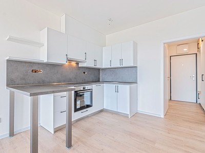 Pronájem bytu 1+kk 35 m²
