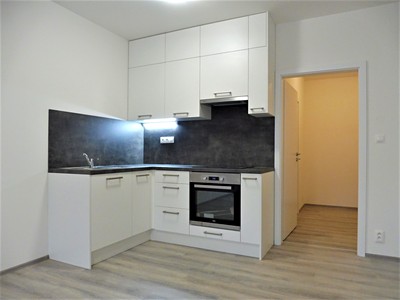 Pronájem bytu 1+kk 36 m²
