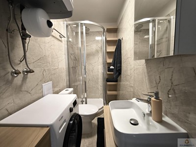 Pronájem bytu 2+1 41 m² (Podkrovní)