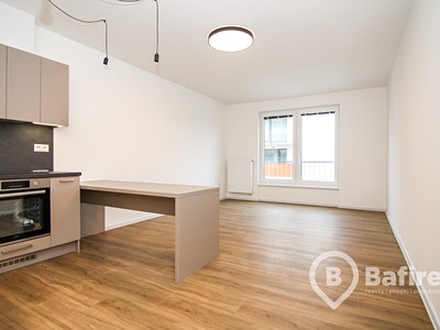 Pronájem bytu 2+kk 61 m² (Jednopodlažní)